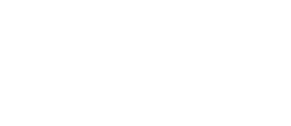 Schink Stories logo